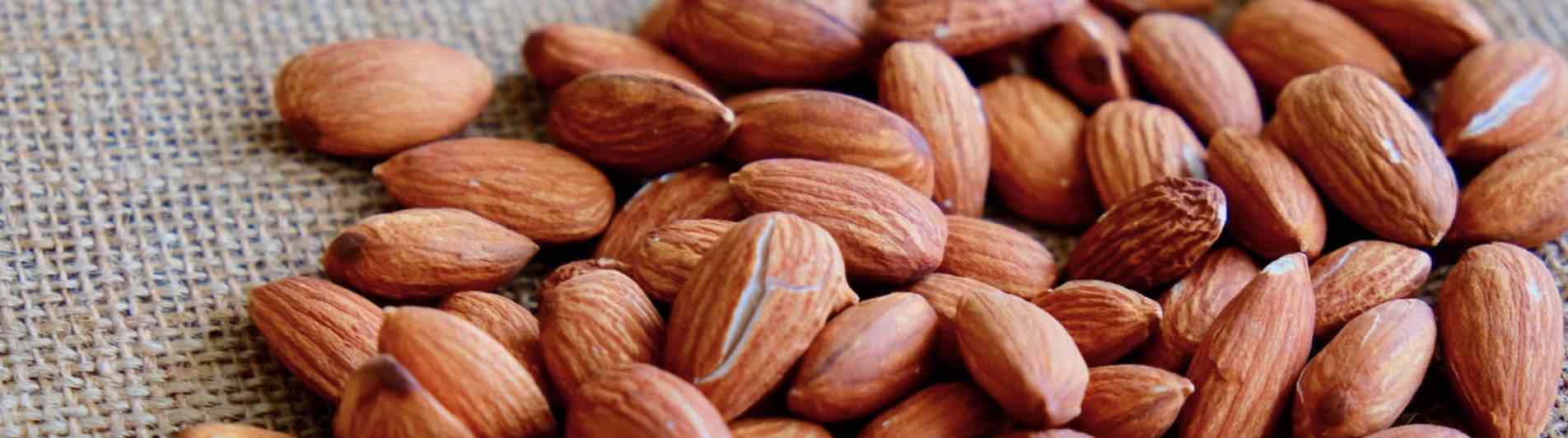 almendras sin precios
